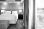 King bed next to large window