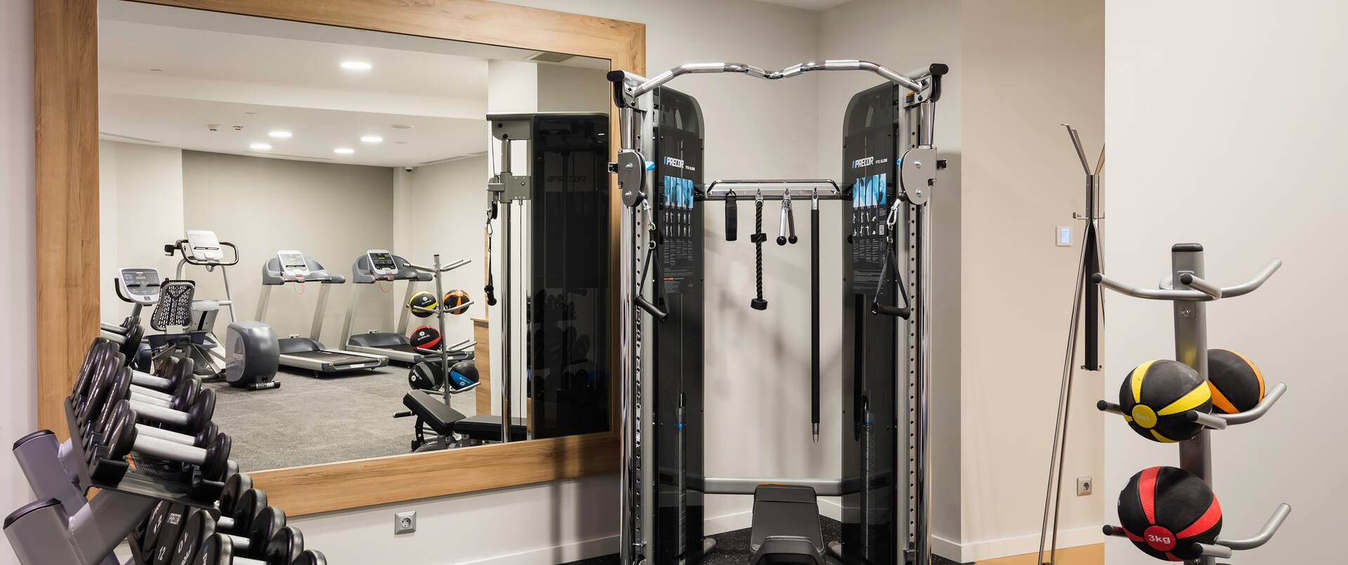 Fitness Center with Weight Machine, Dumbbell Rack and Medicine Ball Rack