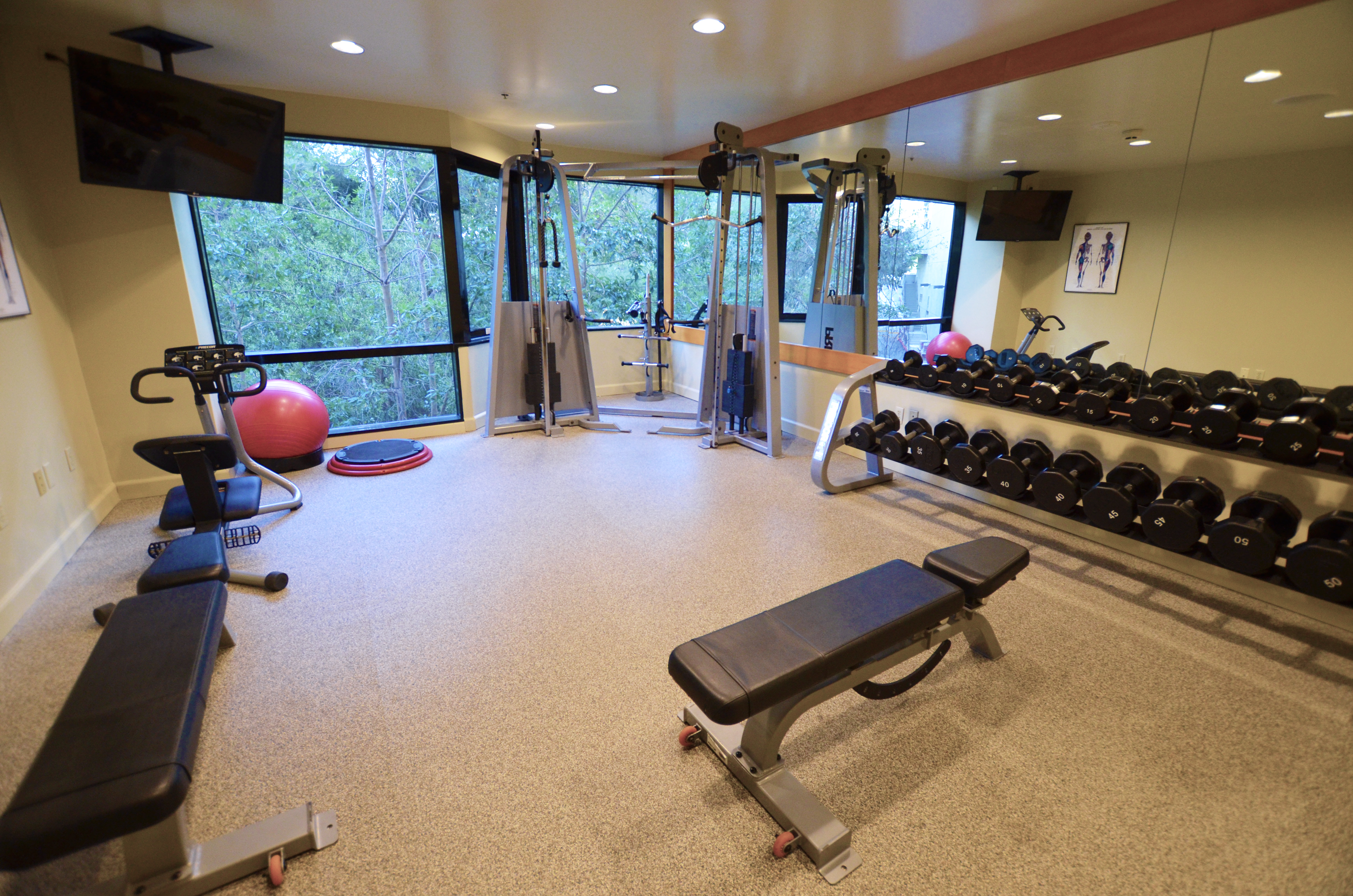 Fitness Center with Weight Bench, Dumbbell Rack, Weight Machines and Cycle Machine
