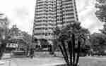 Outdoor Swimming Pool with Palm trees and Hotel Building Exterior in Background