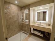 Guestroom Bathroom with Mirror, Vanity, Amenities, and Shower