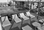 Pool with Chaise Lounges