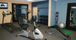 Fitness Center With TV, Cardio Equipment, Large Mirror, Free Weights, Weight Balls, Weight Bench, and Exercise Ball