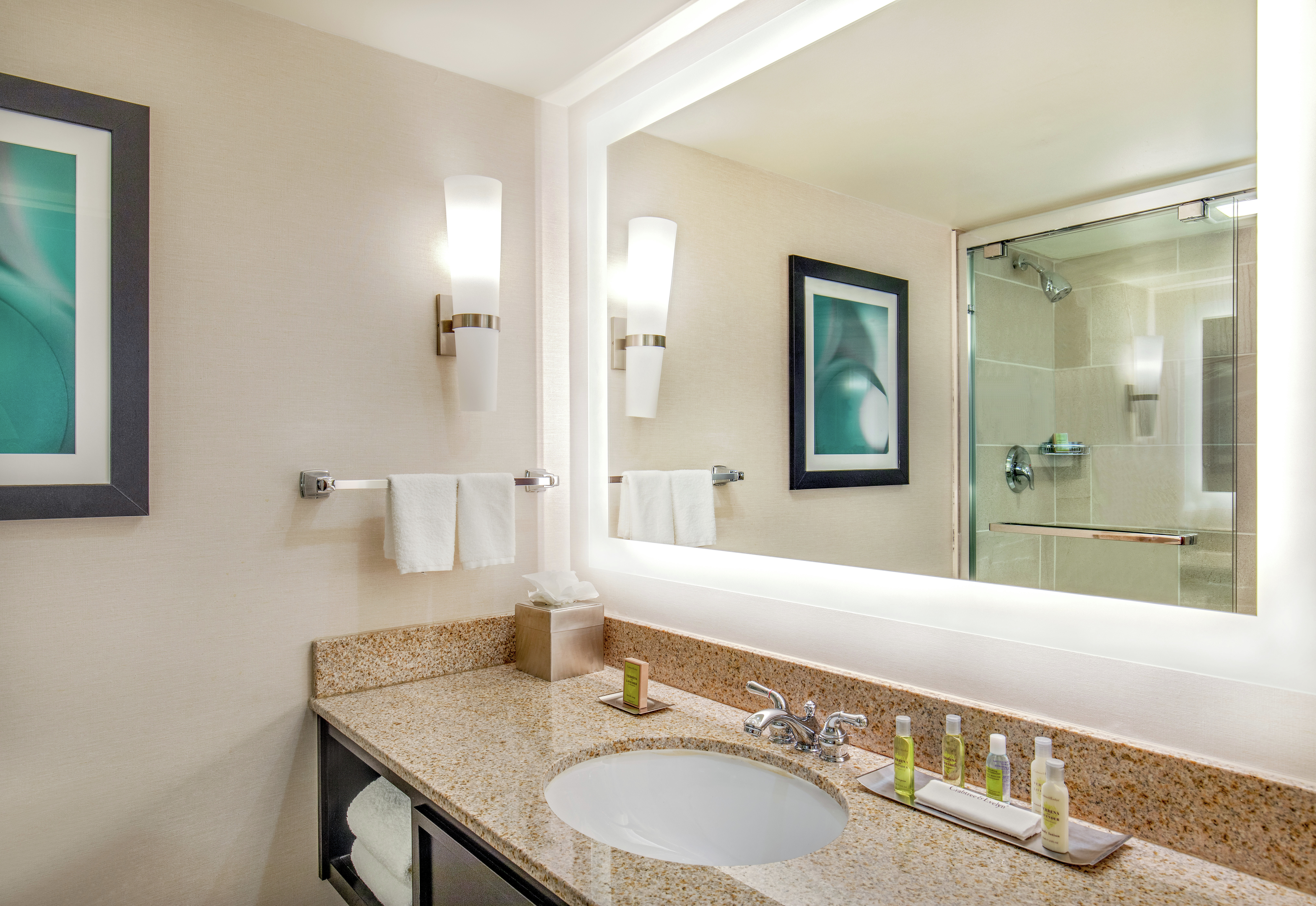 Guestroom Bathroom Vanity and Mirror