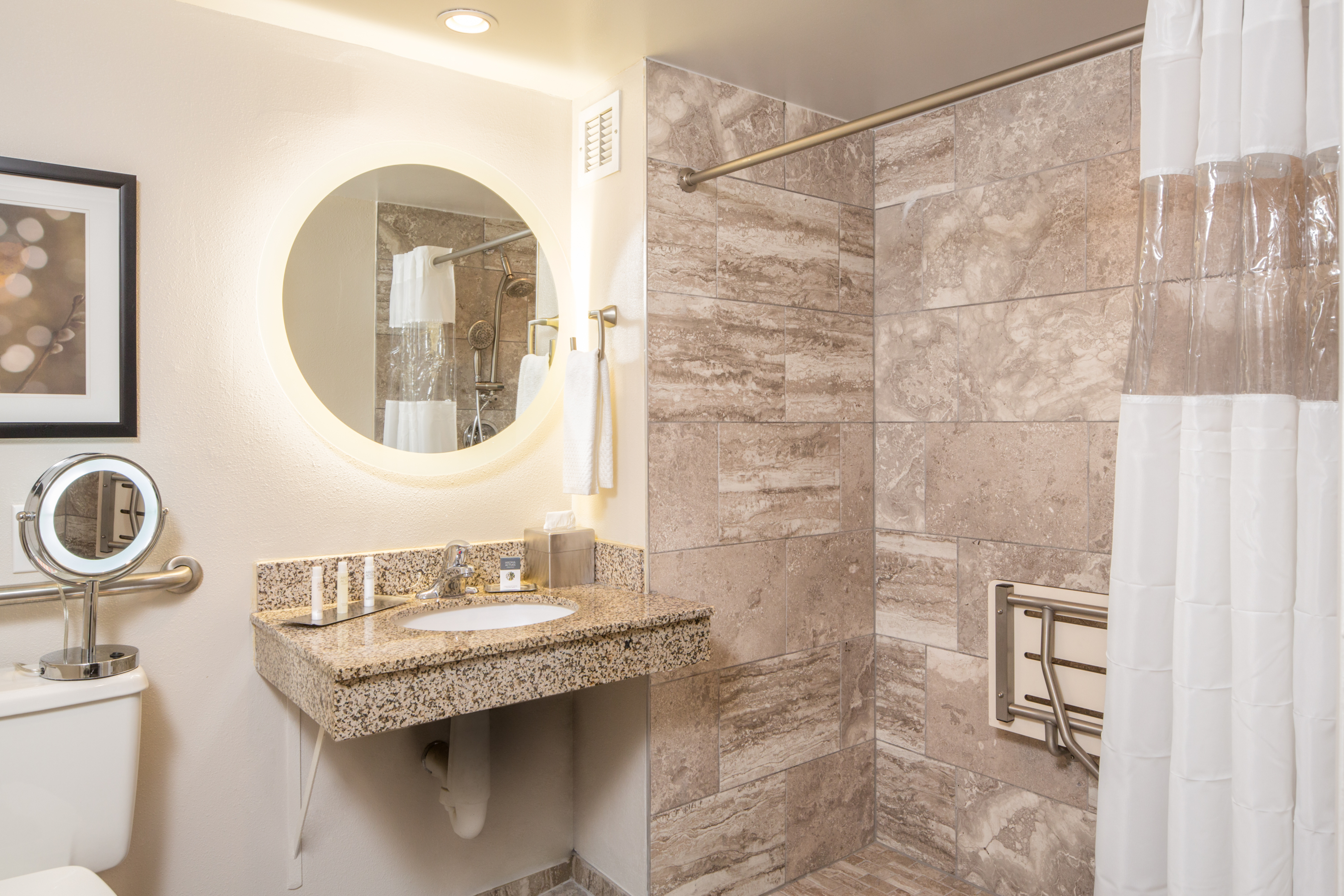 Wall Art Above Toilet With Grab Bars, Round Vanity Mirror, Sink, Toiletries, and Roll-In Shower With Shower Seat and Curtain in Accessible Bathroom