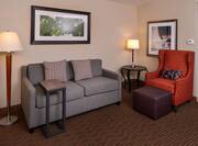 Guest Room Living Area Suite