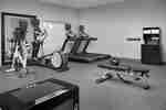 設有舉重器材及跑步機的健身中心