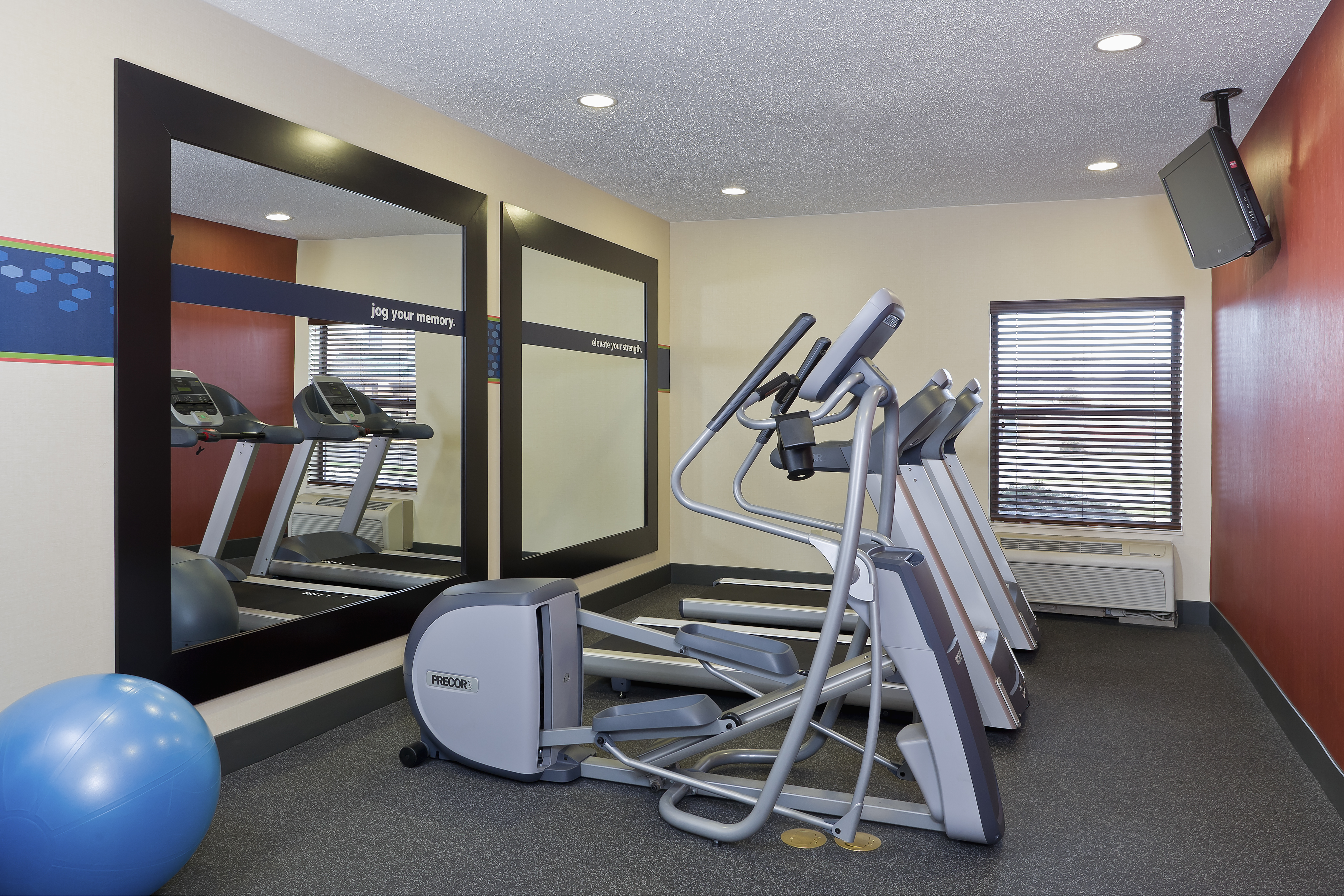 Cardio Equipment, Large Mirrors, and TV in Fitness Center