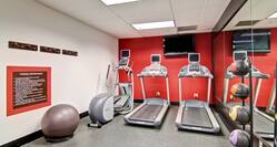 Fitness Room Treadmills Gymball
