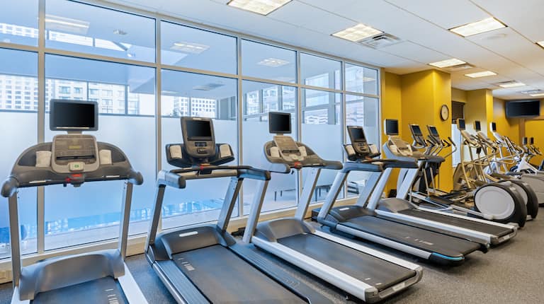Elliptical Machines and Treadmills in Fitness Center