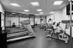 Fitness Center Cardio Equipment 