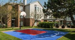 Sport Court with Basketball Net 