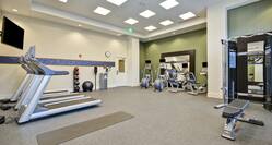 Fitness Center Equipment and Workout Area