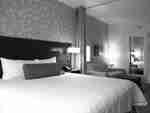Apartament studio king