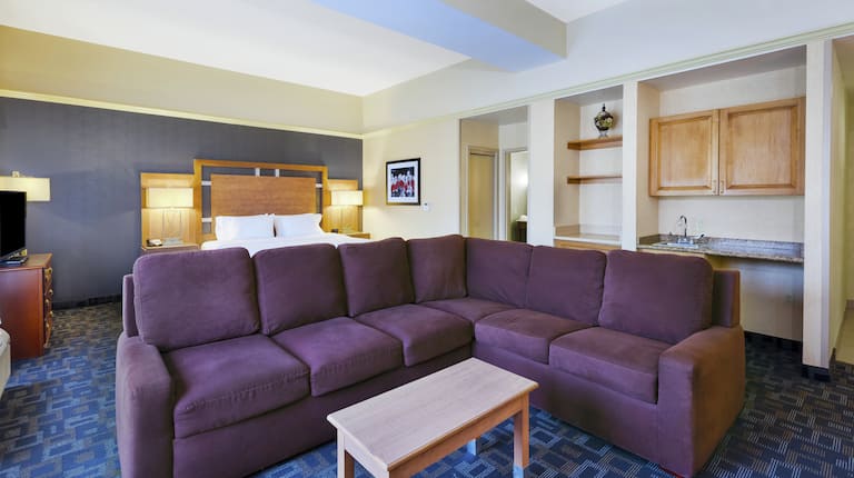 Hotel Guestroom Suite Lounge Area