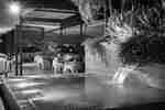 Water Fountain and Dining Area at Night