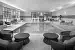 Indoor Swimming Pool With Lounge Seating and Large Windows