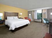 Extra Spacious King Guest Room