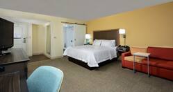Extra Spacious King Guest Room
