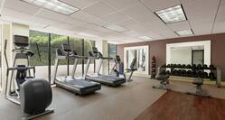 Fitness equipment and weights with floor-to-ceiling windows