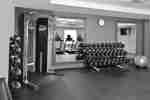 Fitness Center with Weights and Exercise Balls