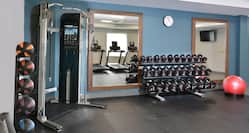 Fitness Center with Weights and Exercise Balls