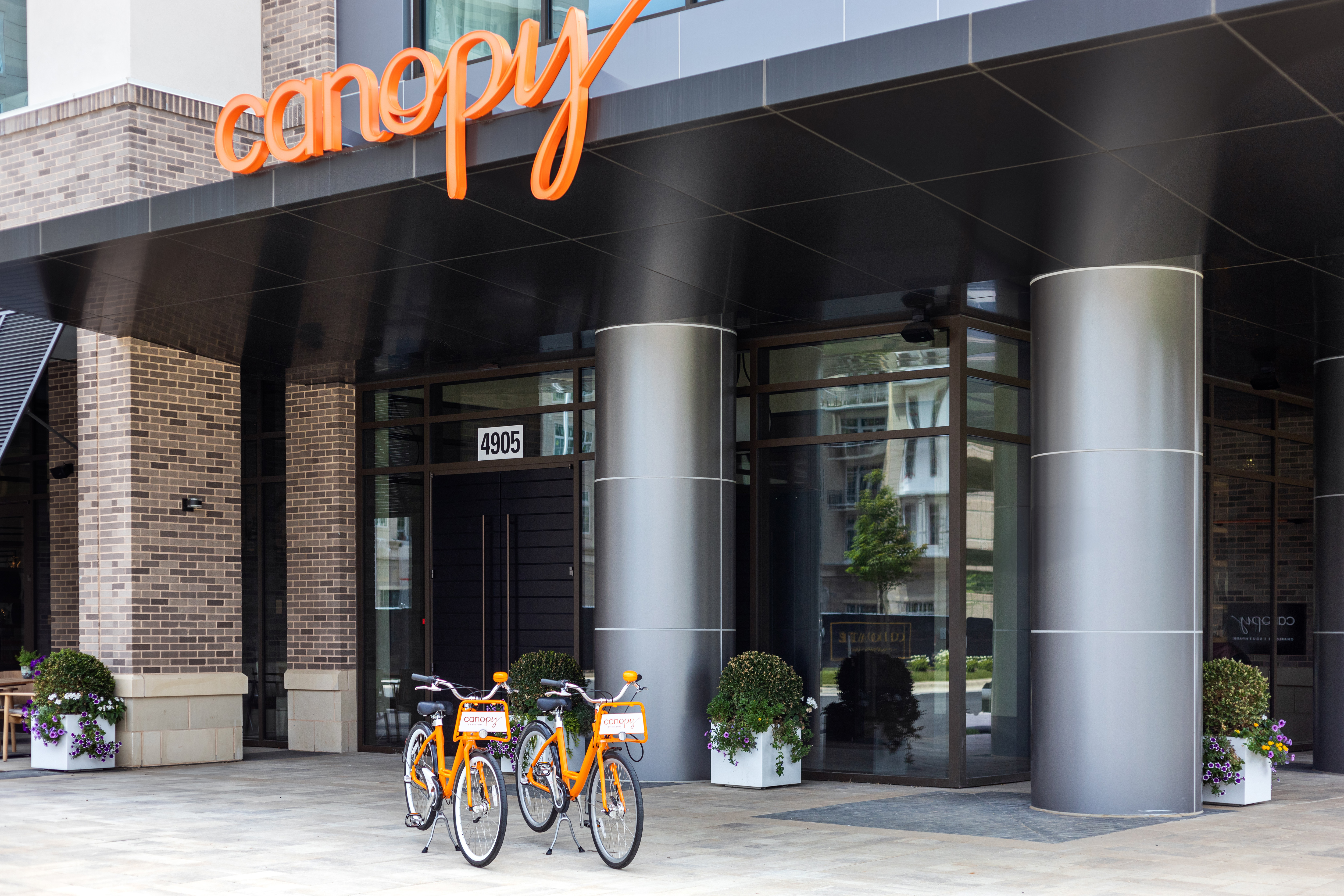 Hotel entrance with bicycles