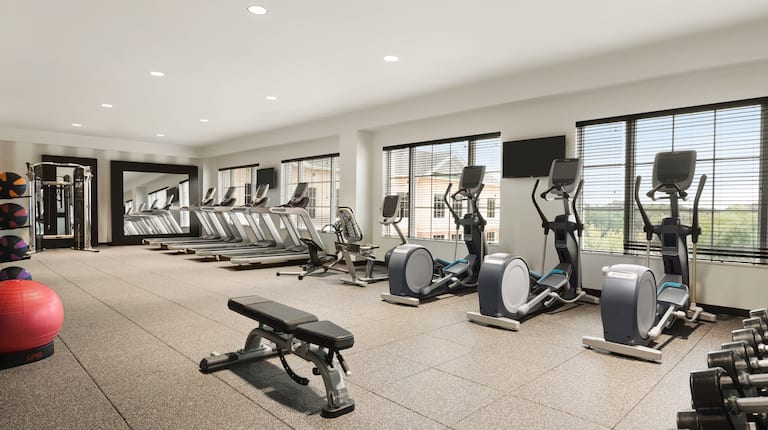 Fitness Center with Cross-Trainers, Treadmills, Weight Bench and Dumbbell Rack