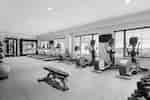 Fitness Center with Cross-Trainers, Treadmills, Weight Bench and Dumbbell Rack