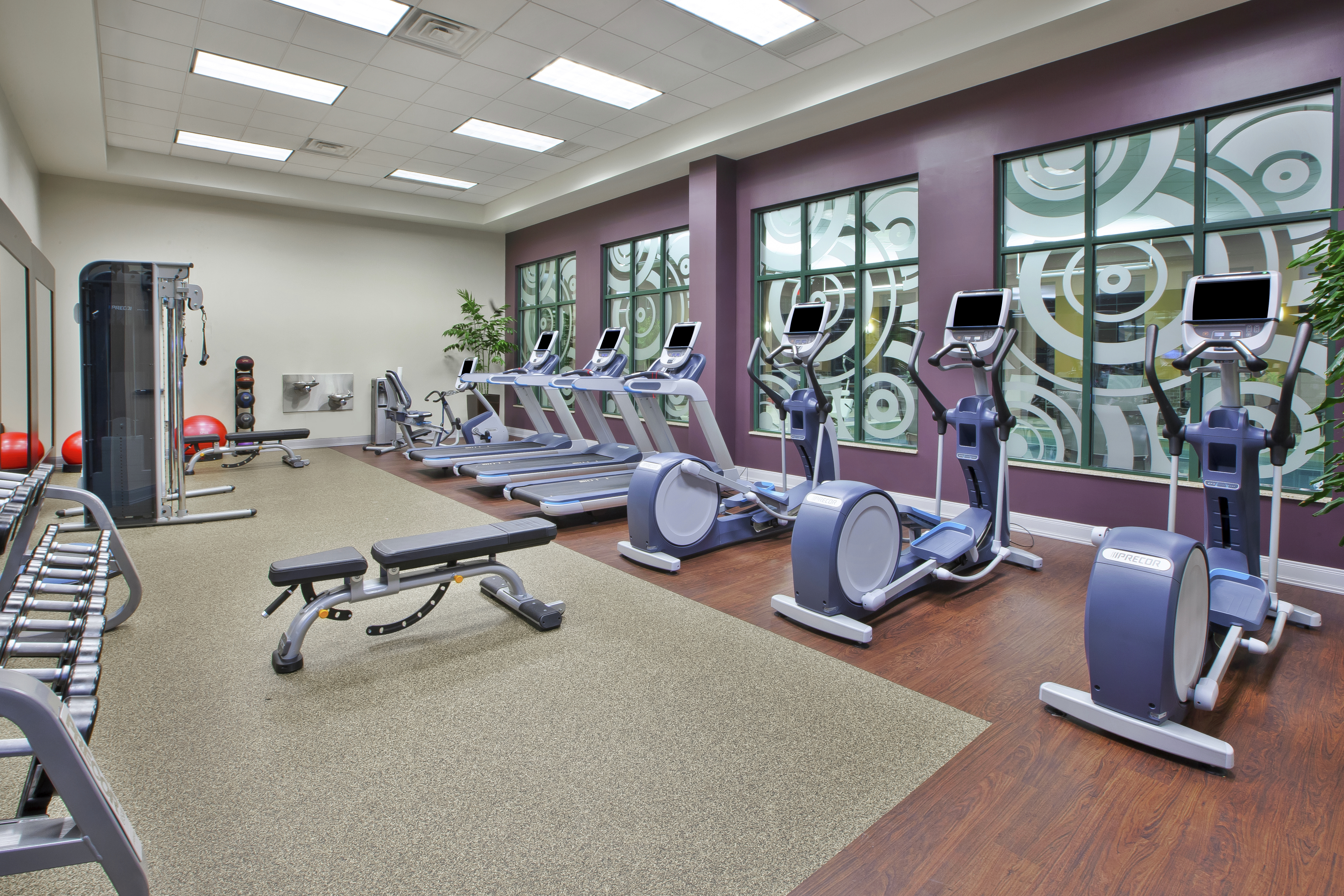 Fitness Center With Cardio Equipment Facing Large Windows, Weight Bench, Free Weights, Weight Machine, Red Stability Balls, and Weight Balls