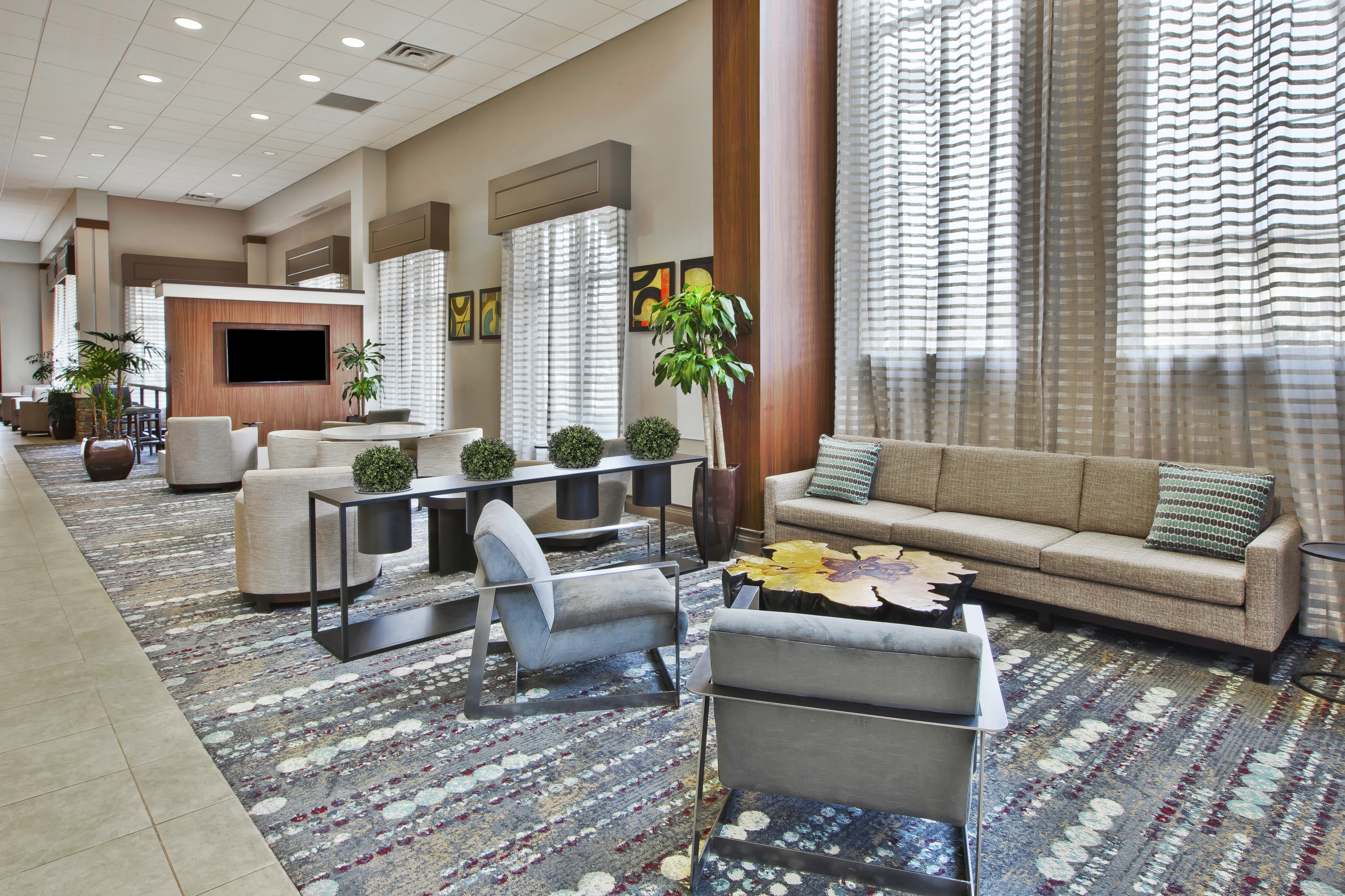 TV, Soft Seating, Plants, and Windows With Sheer Drapes in Hotel Lobby