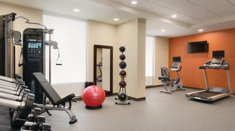 Fitness Center with Treadmill, Cycle Machine, Weight Machine and Weights Rack