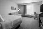 Guest Room with a Comfortable Bed, Lounge Area, and Work Desk