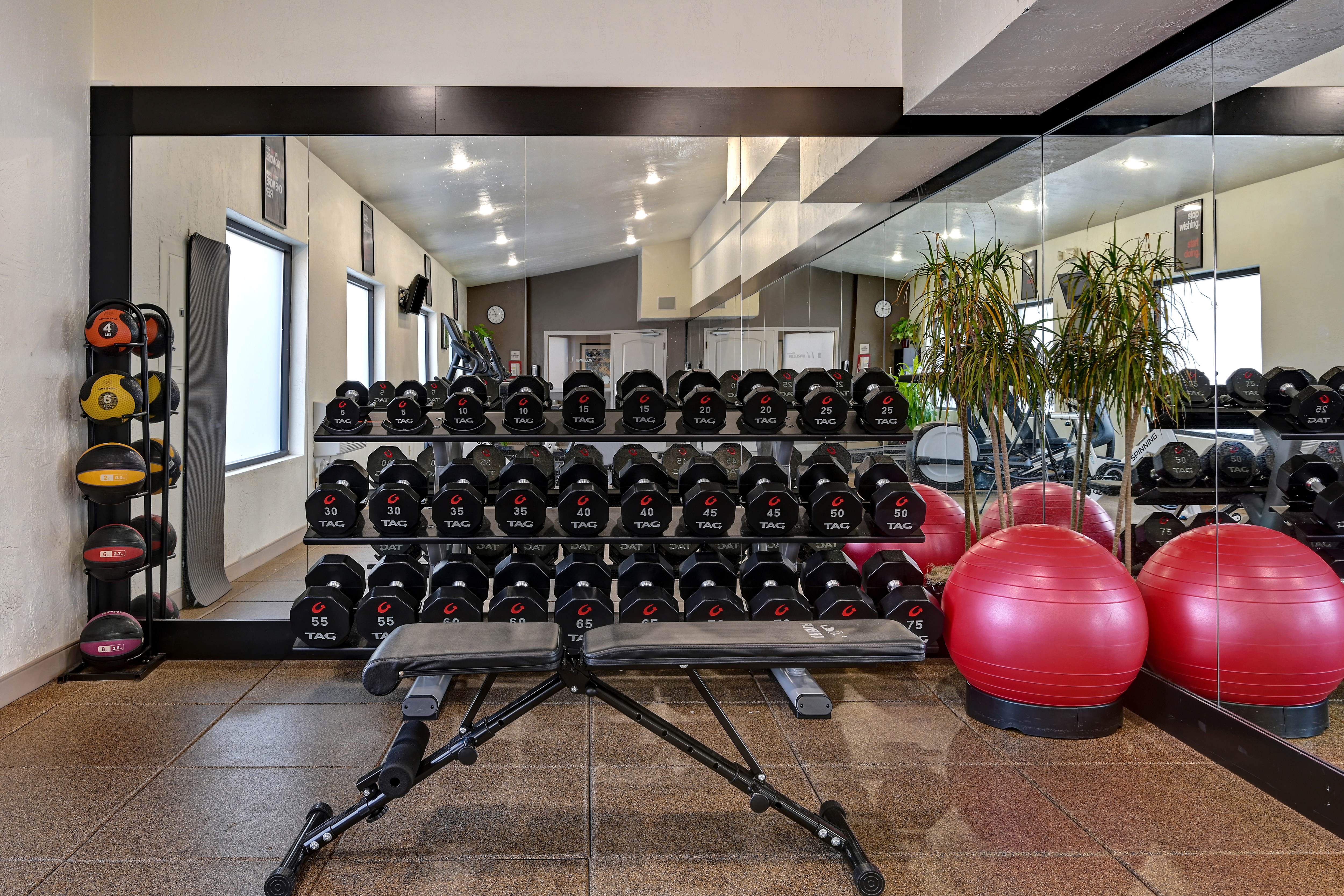 Weights and Exercise Balls in Fitness Center