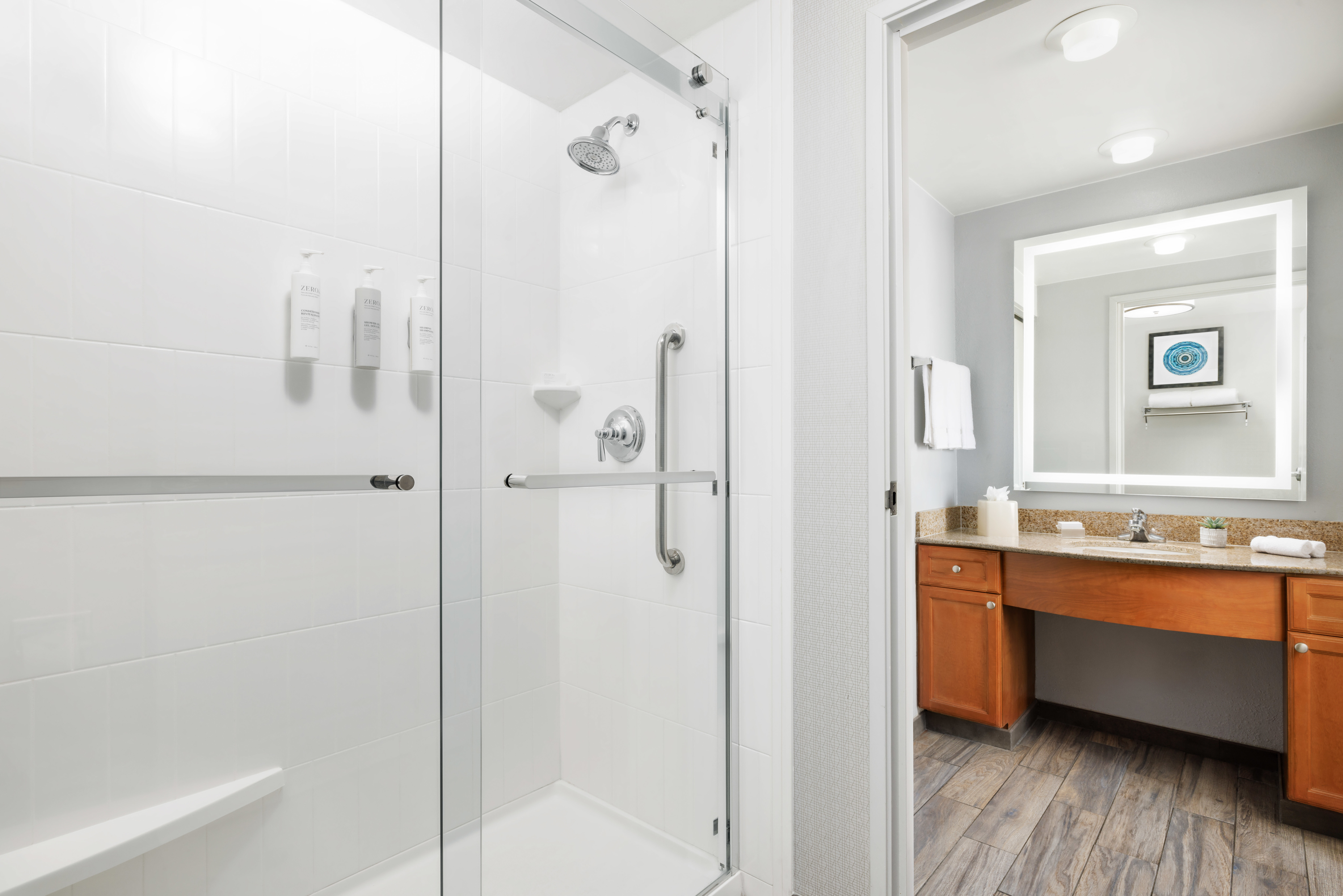 guest suite bathroom, vanity, mirror, shower
