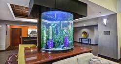 Aquarium in Lobby