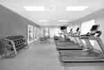 Fitness center with cardio machines and weights