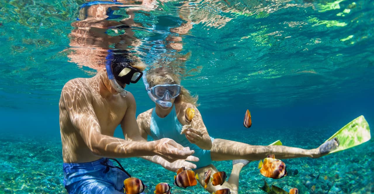 Couple snorkeling underwater with small fish