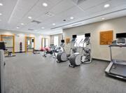 Fitness Center Treadmills and Recumbent Bikes Equipment
