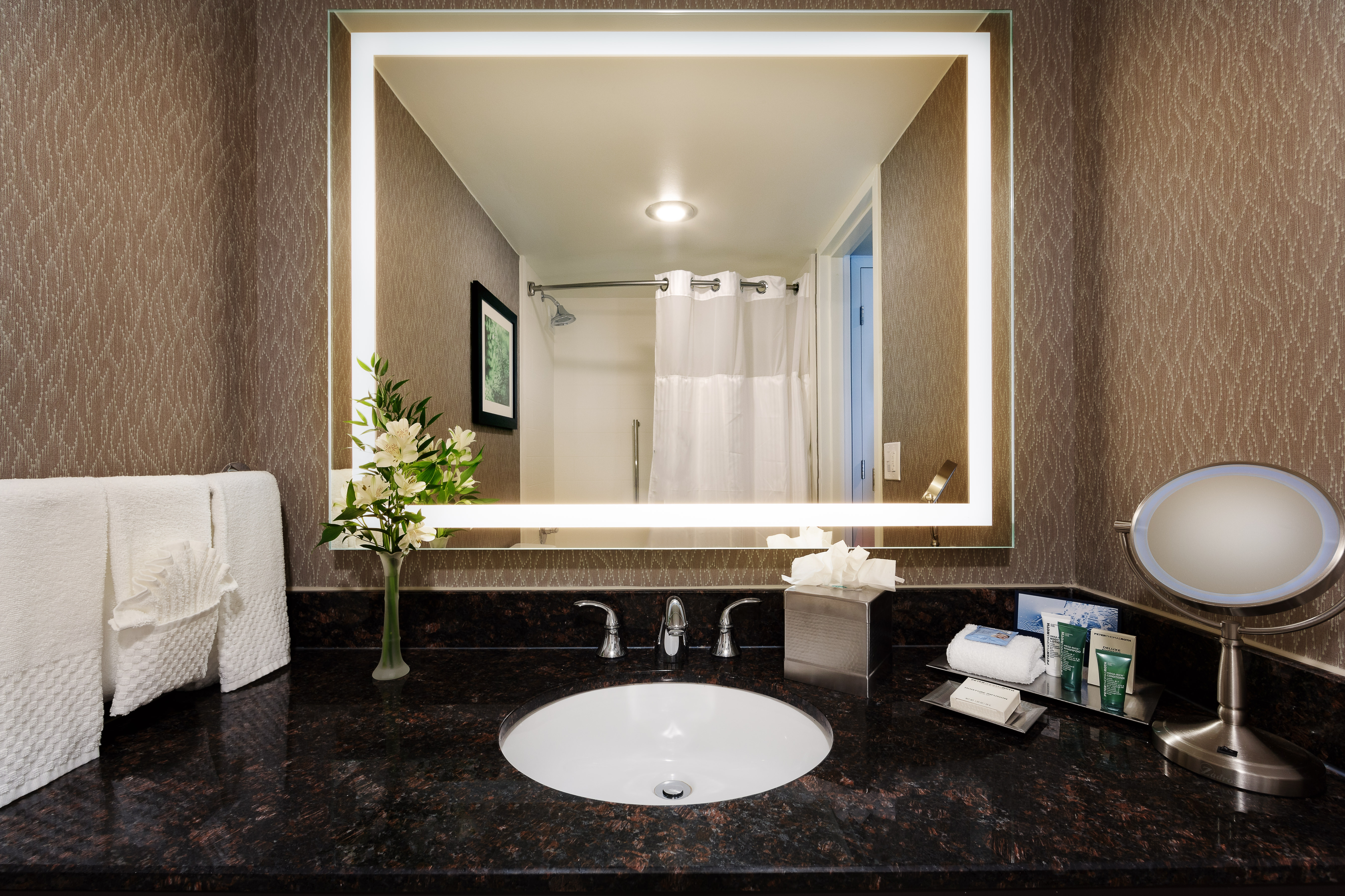 Guest bathroom with vanity mirror, sink, bathroom amenities, and towels
