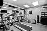 Fitness Center Cardio Equipment