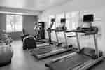 Fitness Center Cardio Equipment 