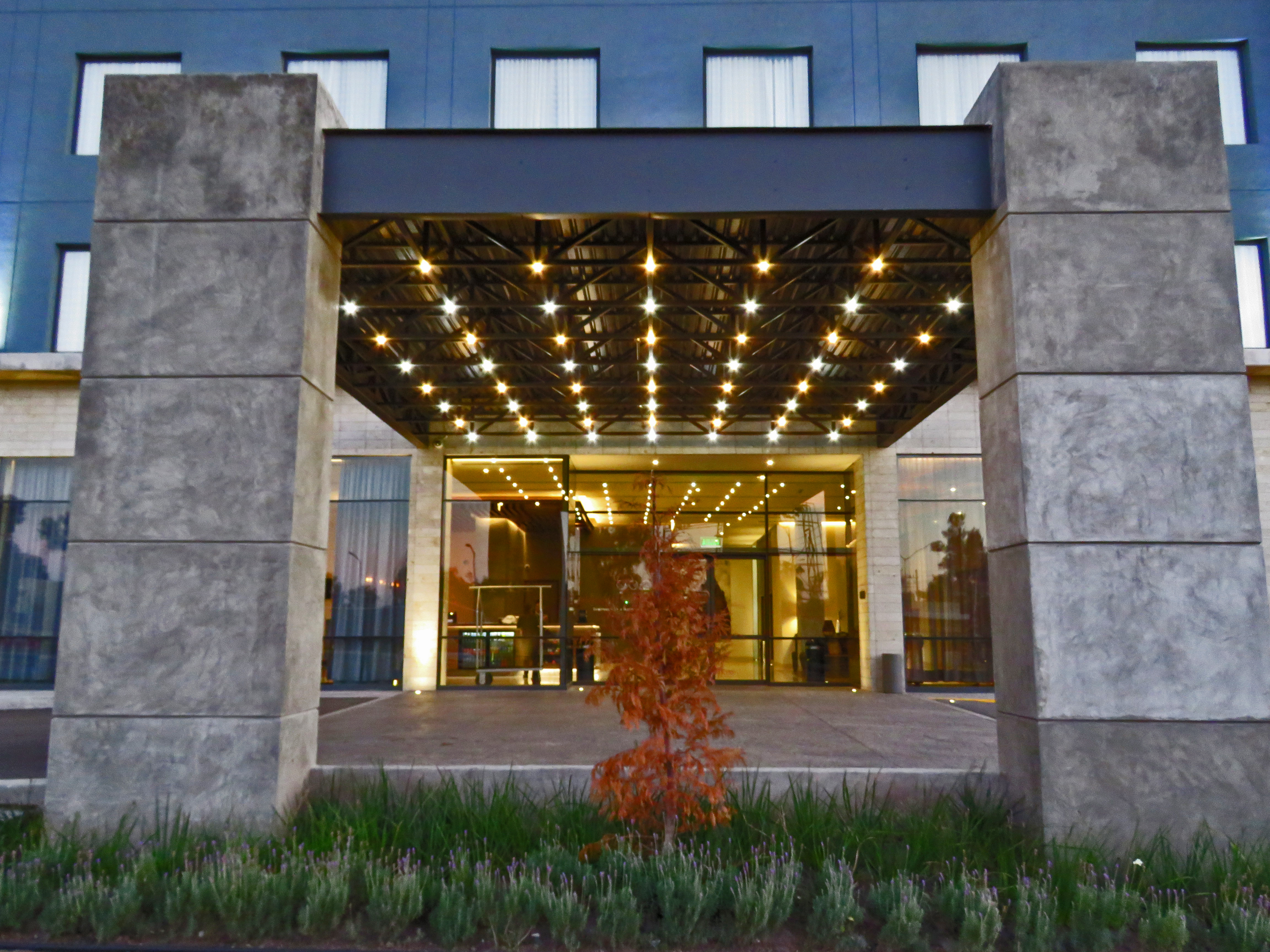 Exterior View of Hotel Front Entrance, Landscaping, and Illuminated Drive