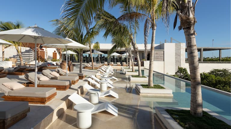 Rooftop & Infinity Pool at Motto Tulum