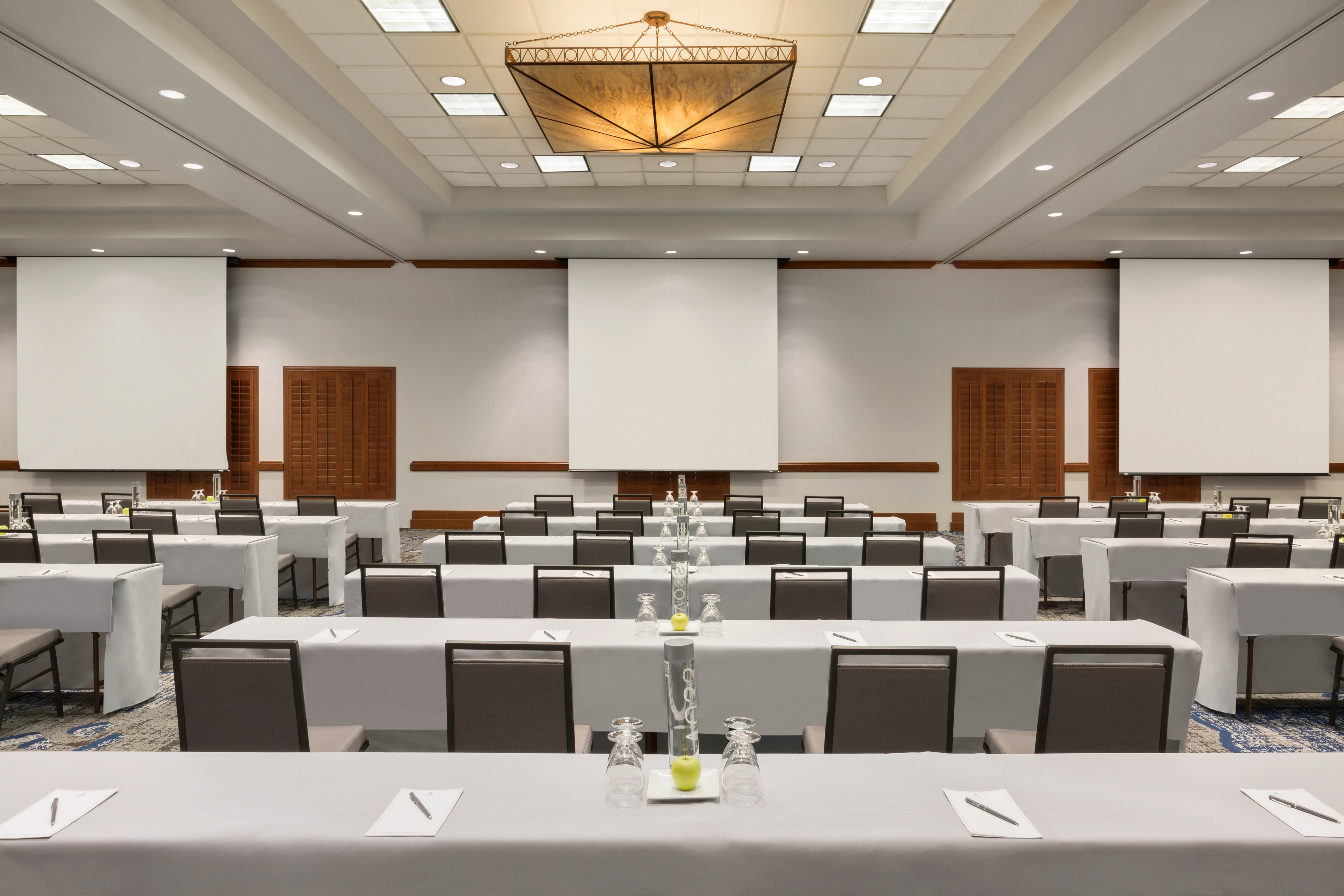 Embassy Suites Dallas - DFW Airport North Outdoor World Hotel, TX - Cross Timbers Classroom