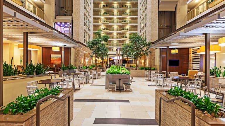Hotel Lobby and Atrium