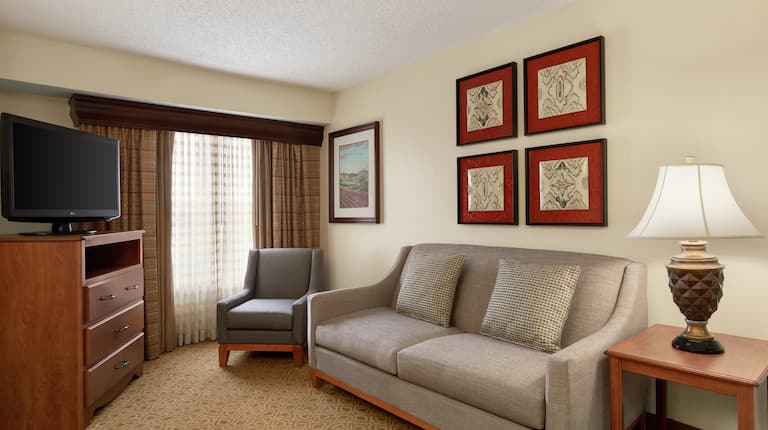 King Bedroom Premium Suite Living Area