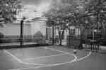 Basketball Court