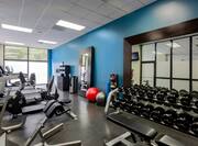 Fitness Center Exercise Machines and Weights