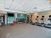 Fitness Center with Treadmills, Weights, Medicine Ball, Dumbbells, and Recumbent Bike